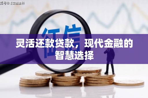 舞钢灵活还款贷款，现代金融的智慧选择