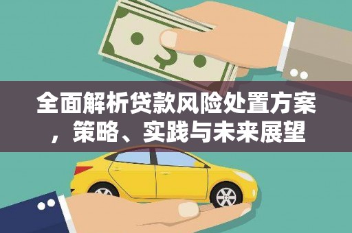 舞钢全面解析贷款风险处置方案，策略、实践与未来展望