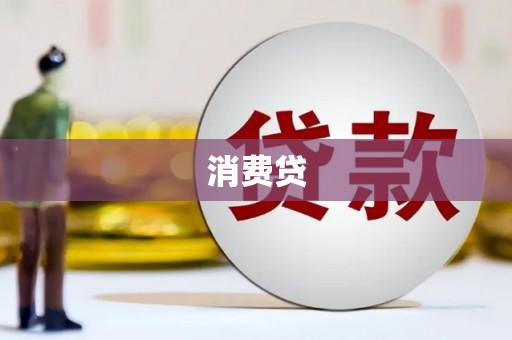 舞钢消费贷