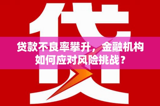 舞钢贷款不良率攀升，金融机构如何应对风险挑战？