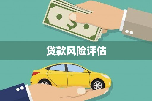 舞钢贷款风险评估