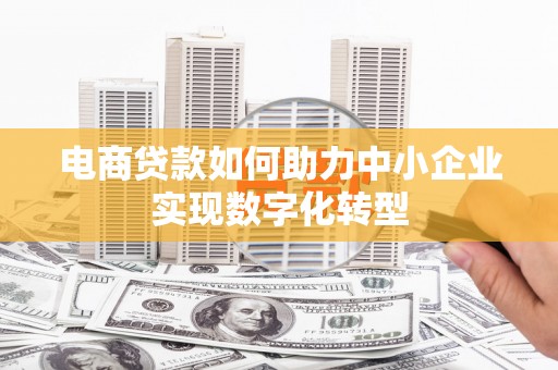 舞钢电商贷款如何助力中小企业实现数字化转型