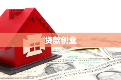 舞钢贷款创业