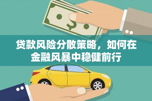 舞钢贷款风险分散策略，如何在金融风暴中稳健前行