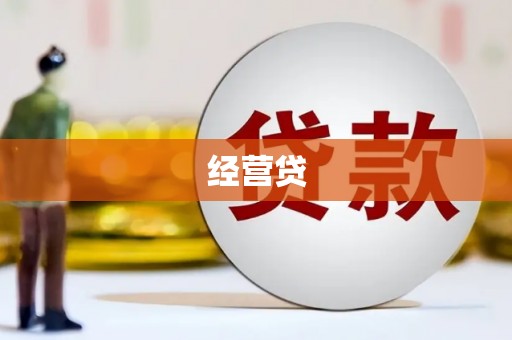 舞钢经营贷
