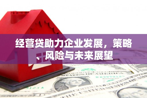 舞钢经营贷助力企业发展，策略、风险与未来展望