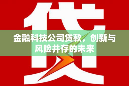 舞钢金融科技公司贷款，创新与风险并存的未来