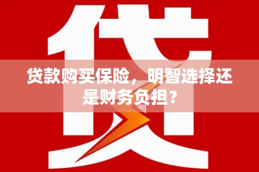 舞钢贷款购买保险，明智选择还是财务负担？