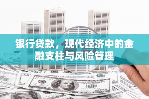 舞钢银行贷款，现代经济中的金融支柱与风险管理