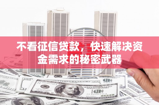 舞钢不看征信贷款，快速解决资金需求的秘密武器