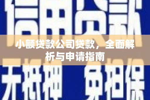 舞钢小额贷款公司贷款，全面解析与申请指南