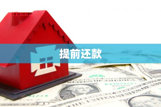 舞钢提前还款