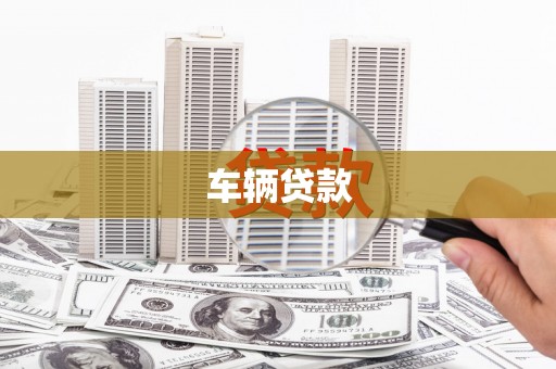 舞钢车辆贷款