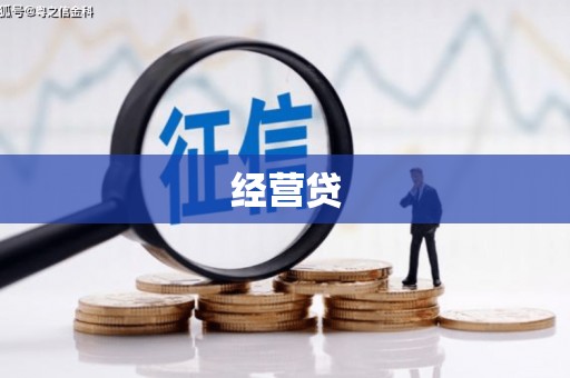 舞钢经营贷