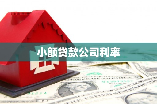舞钢小额贷款公司利率