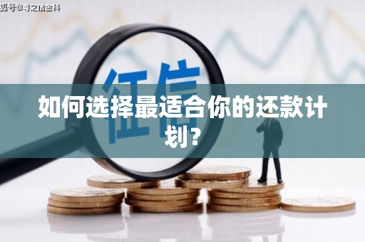 舞钢如何选择最适合你的还款计划？