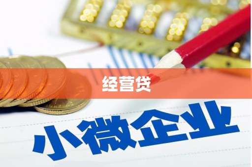 舞钢经营贷