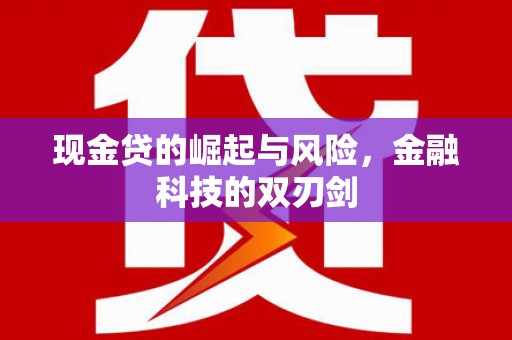 舞钢现金贷的崛起与风险，金融科技的双刃剑