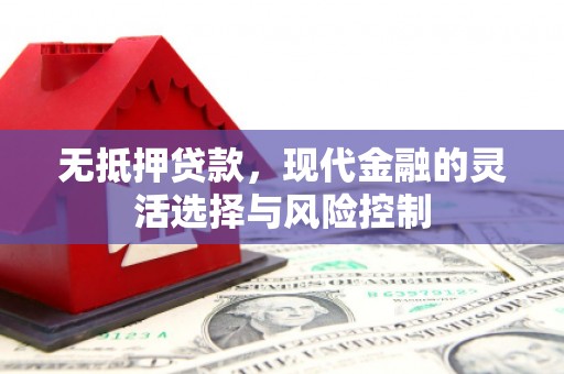 舞钢无抵押贷款，现代金融的灵活选择与风险控制