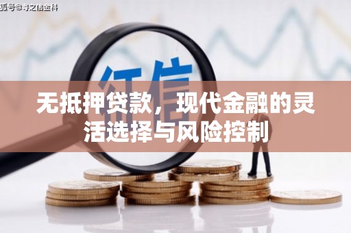 舞钢无抵押贷款，现代金融的灵活选择与风险控制