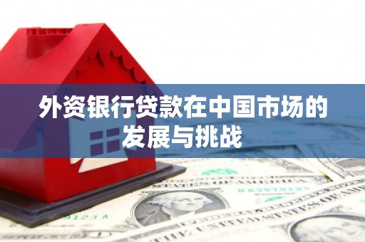 舞钢外资银行贷款在中国市场的发展与挑战