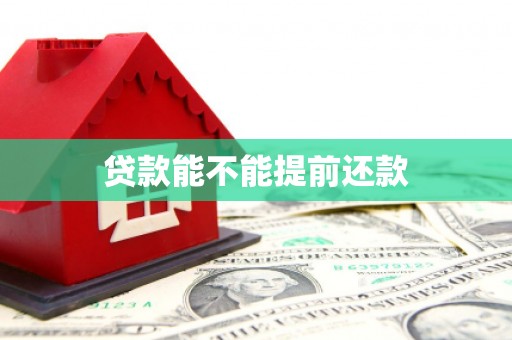 舞钢贷款能不能提前还款
