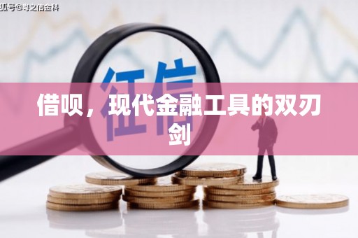 舞钢借呗，现代金融工具的双刃剑