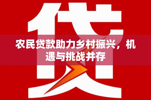 舞钢农民贷款助力乡村振兴，机遇与挑战并存