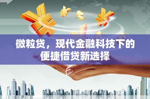 舞钢微粒贷，现代金融科技下的便捷借贷新选择