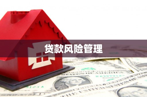 舞钢贷款风险管理