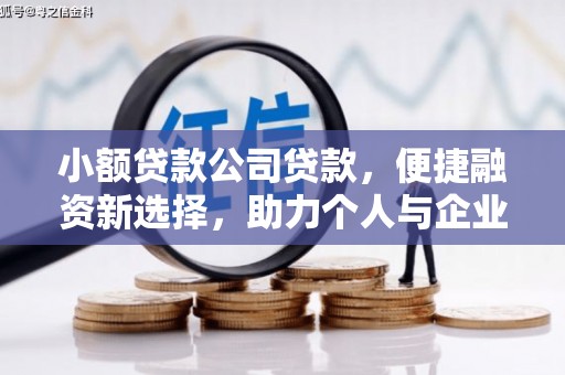 舞钢小额贷款公司贷款，便捷融资新选择，助力个人与企业成长