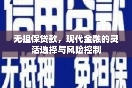 舞钢无担保贷款，现代金融的灵活选择与风险控制