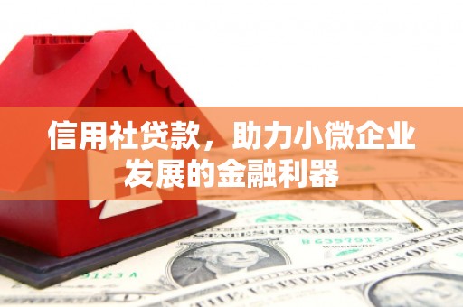 舞钢信用社贷款，助力小微企业发展的金融利器