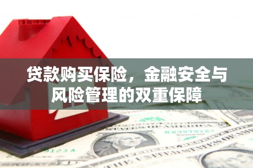 舞钢贷款购买保险，金融安全与风险管理的双重保障