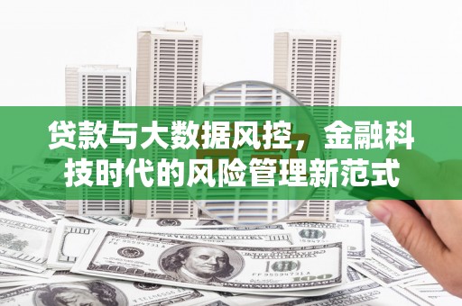 舞钢贷款与大数据风控，金融科技时代的风险管理新范式