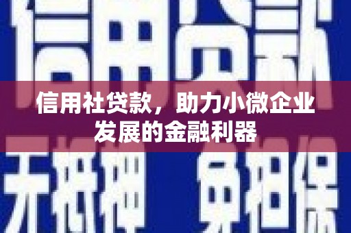 舞钢信用社贷款，助力小微企业发展的金融利器