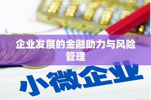舞钢企业发展的金融助力与风险管理