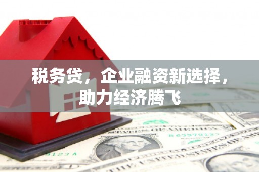 舞钢税务贷，企业融资新选择，助力经济腾飞
