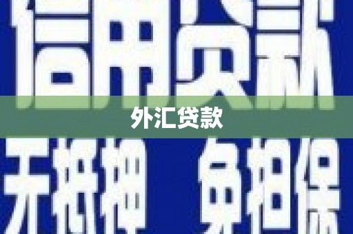 舞钢外汇贷款