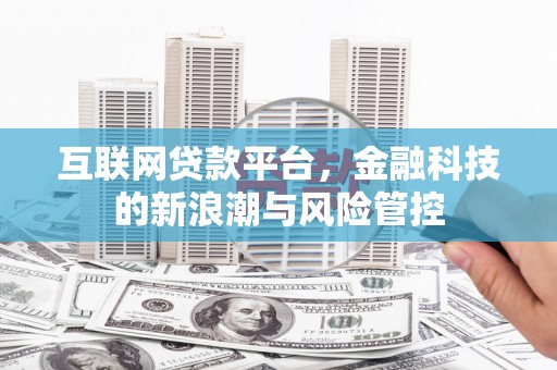 舞钢互联网贷款平台，金融科技的新浪潮与风险管控