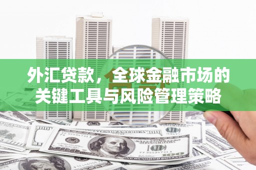 舞钢外汇贷款，全球金融市场的关键工具与风险管理策略