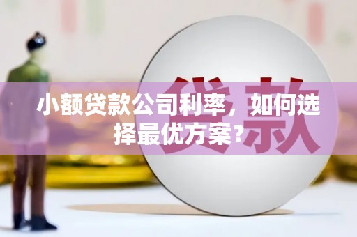 舞钢小额贷款公司利率，如何选择最优方案？