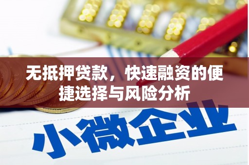 舞钢无抵押贷款，快速融资的便捷选择与风险分析
