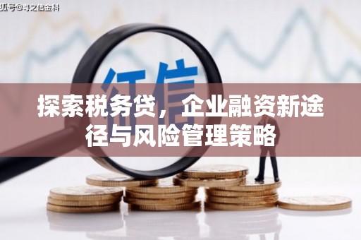 舞钢探索税务贷，企业融资新途径与风险管理策略