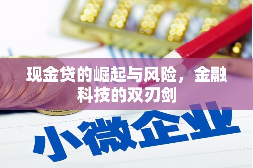 舞钢现金贷的崛起与风险，金融科技的双刃剑