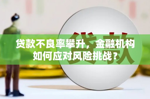 舞钢贷款不良率攀升，金融机构如何应对风险挑战？