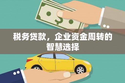舞钢税务贷款，企业资金周转的智慧选择