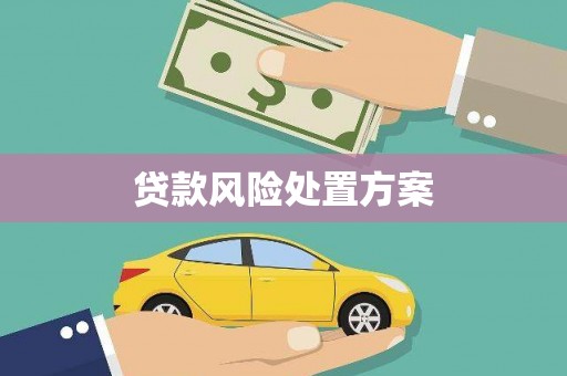 舞钢贷款风险处置方案