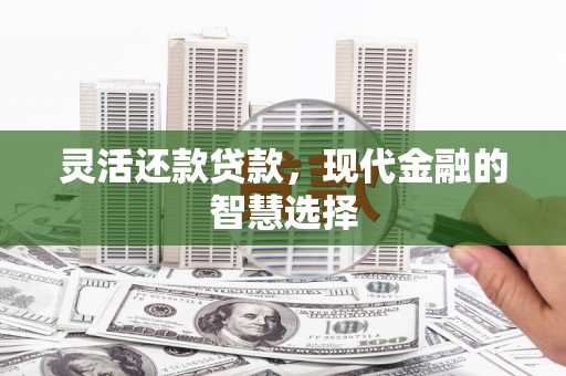 舞钢灵活还款贷款，现代金融的智慧选择