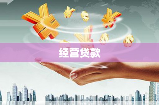 舞钢经营贷款